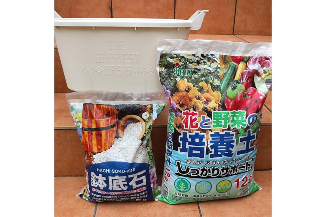 すぐ植えて楽しめる苗も、春待ち苗も♪ゆうゆうtime編集部おすすめ【花苗・園芸資材】が最大11％OFF！Amazonタイムセールで（画像2）