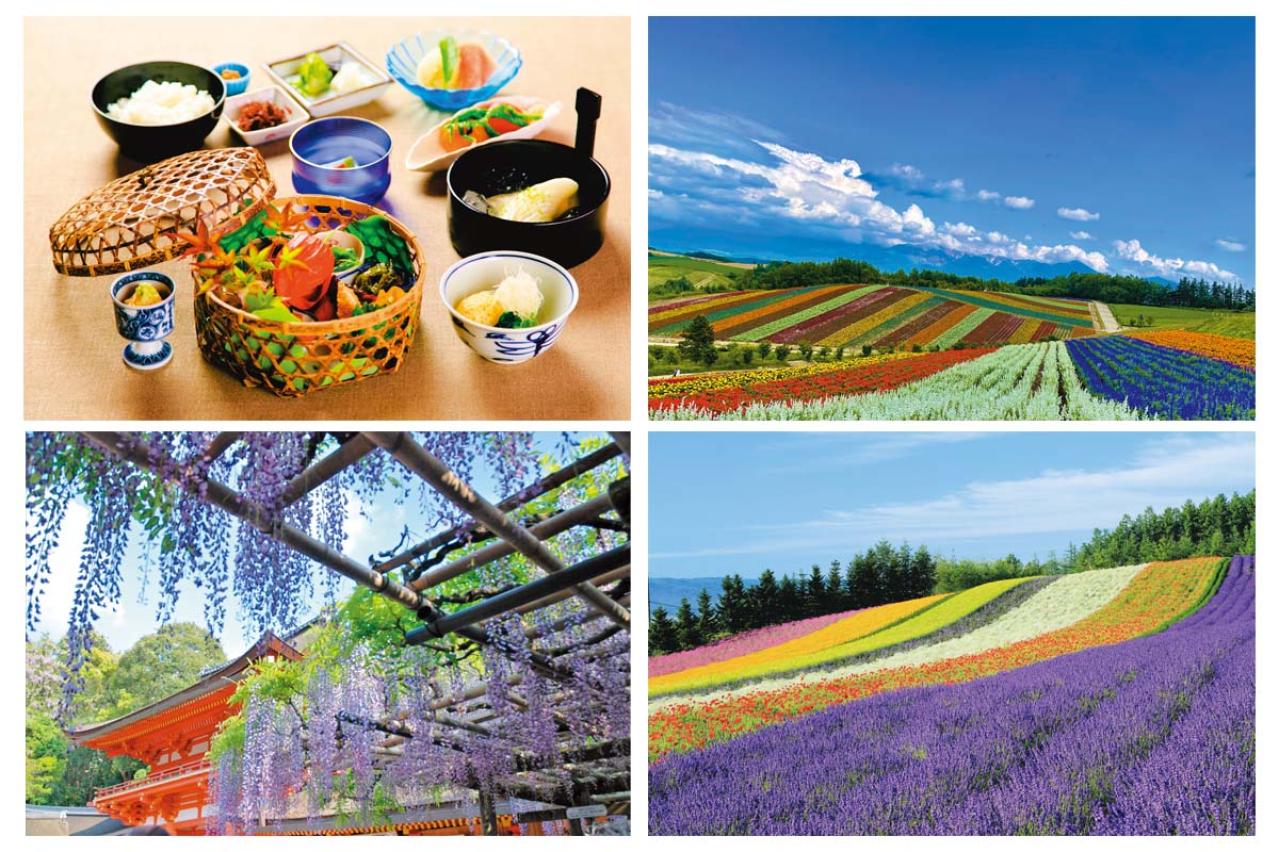 百花繚乱【花を愛でるひとり旅】「クラブツーリズム×ゆうゆうコラボ企画」女性限定参加者募集！