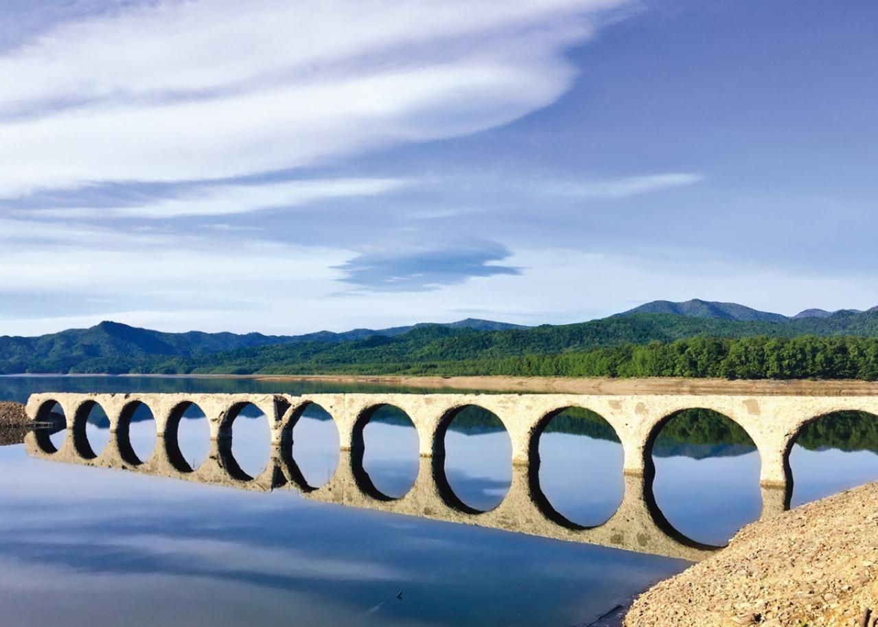 百花繚乱【花を愛でるひとり旅】「クラブツーリズム×ゆうゆうコラボ企画」女性限定参加者募集！（画像6）