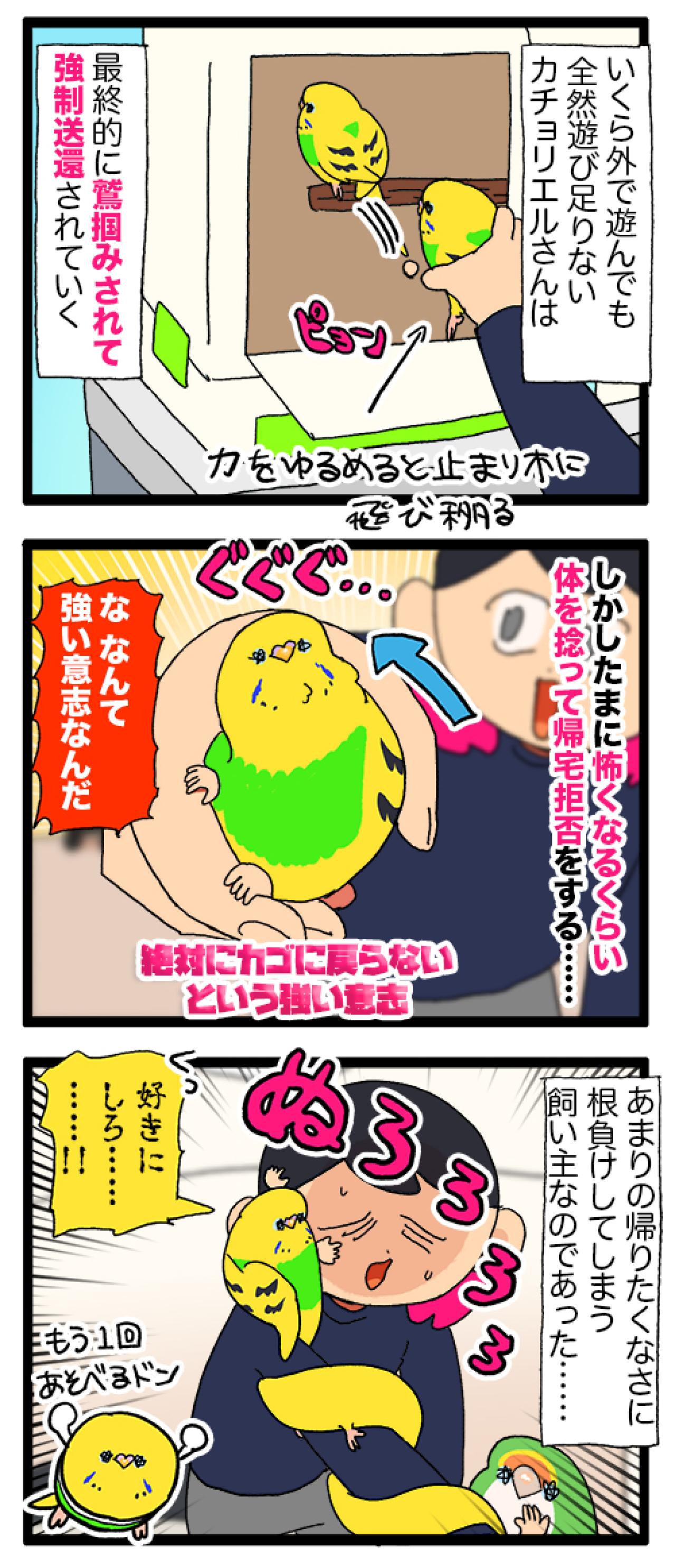 あるある！？元気のないインコ…病院を予約した瞬間回復する！【鳥マンガ #195】（画像4）