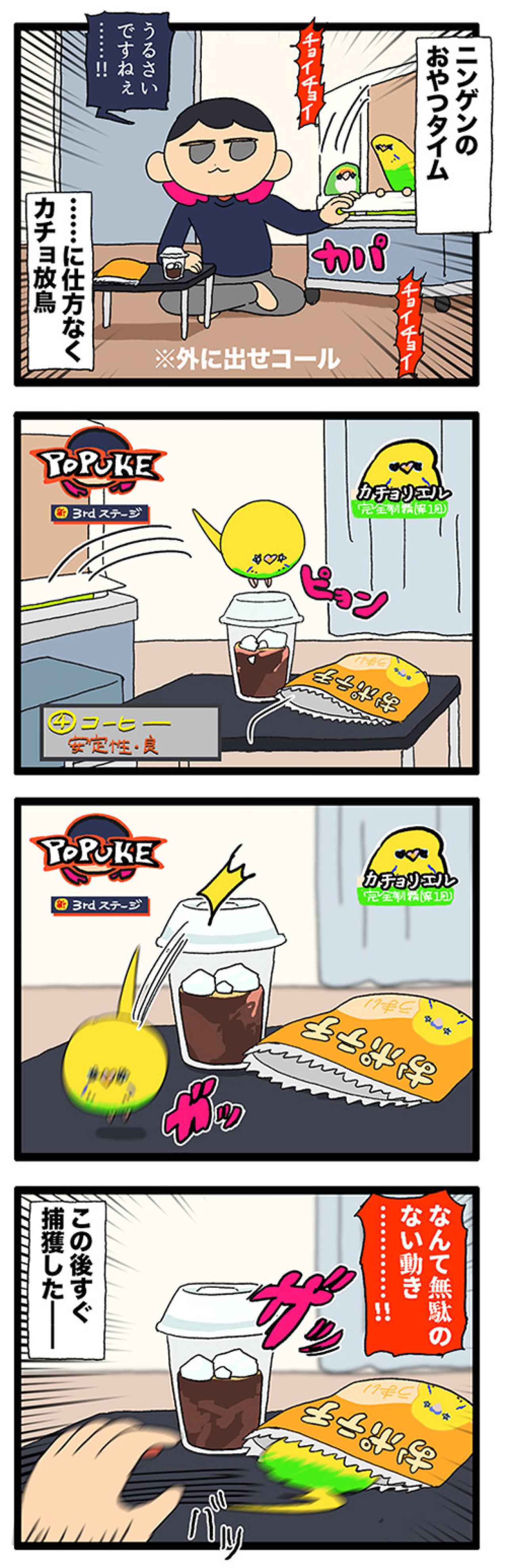 飼い主のおやつに敏感すぎるセキセイインコ・カチョ【鳥マンガ #194】（画像3）