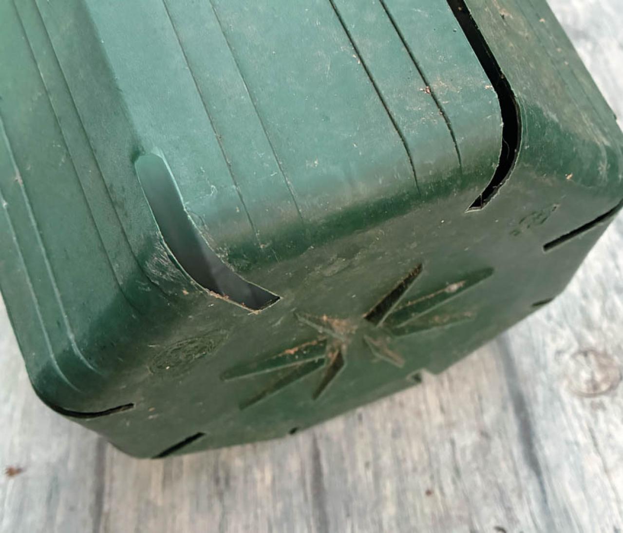 【クリスマスローズQ&A】初心者には地植えと鉢植え、どちらがおすすめ？ 原種系とハイブリッド種、どちらが育てやすい？（画像7）