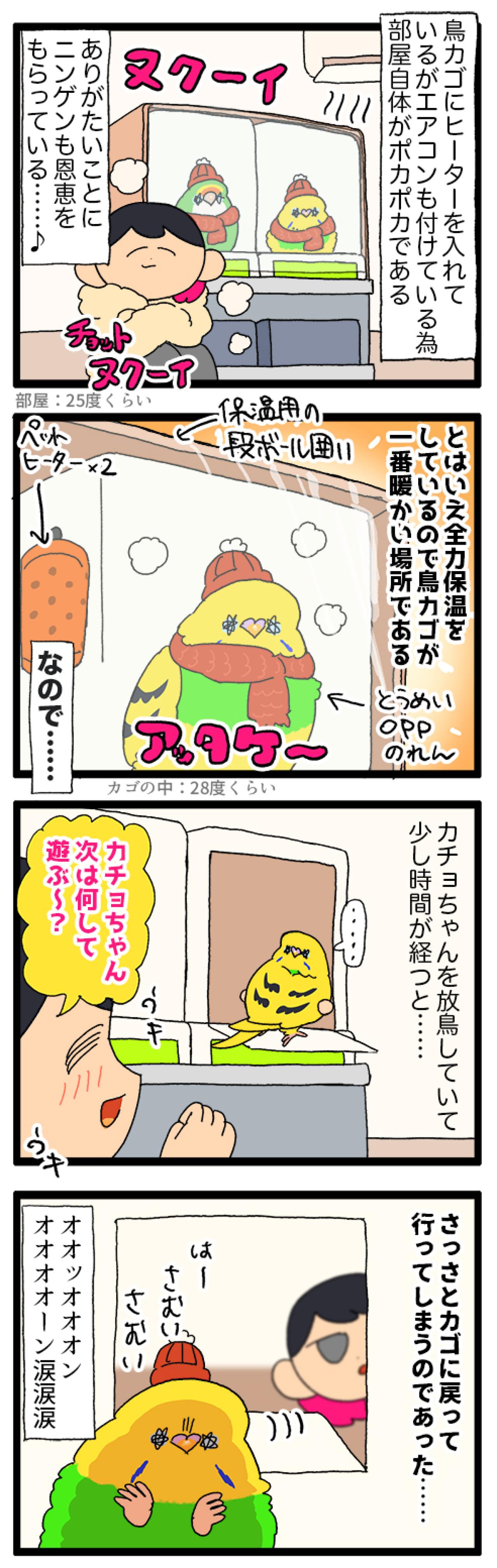 視界の外でもにぎやか♪えるぽぴ家のかわいいインコたち【鳥マンガ #204】（画像5）