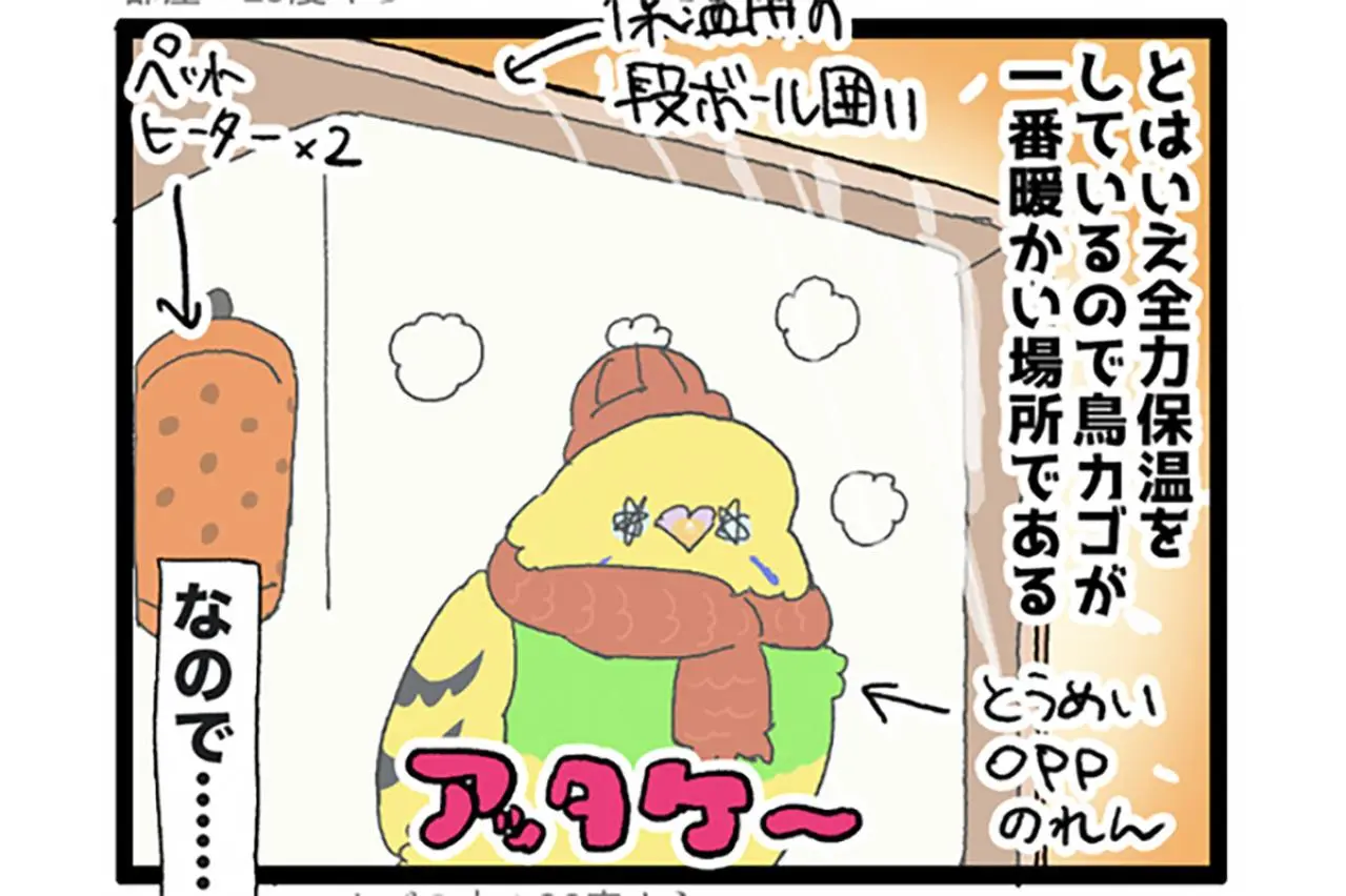 視界の外でもにぎやか♪えるぽぴ家のかわいいインコたち【鳥マンガ