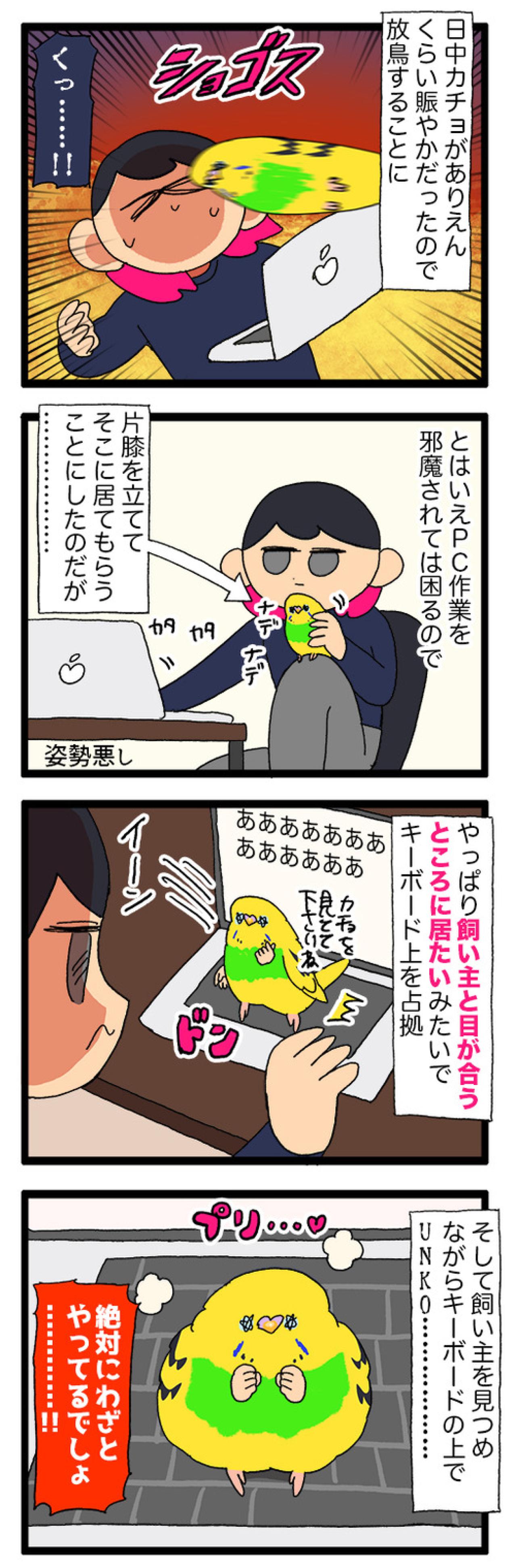 わざとでしょ…？仕事中の飼い主へのカチョの小さな復讐【鳥マンガ #203】（画像5）