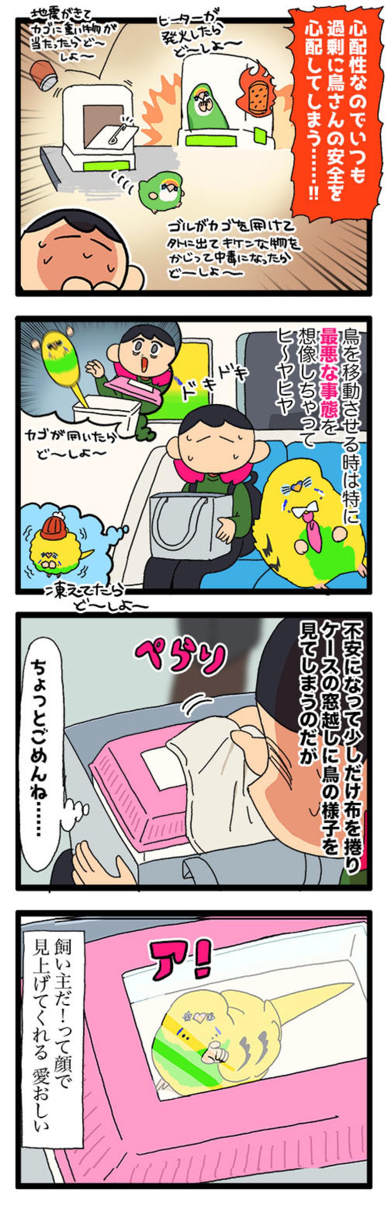 退院したセキセイインコ・カチョ。新たな声真似習得に飼い主も「ヒエッ」！【鳥マンガ #199】（画像6）