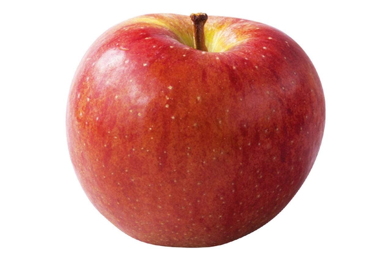 簡単スタート！わんこのための薬膳基礎知識：おすすめ食材と避けたいNG食材リスト（画像9）