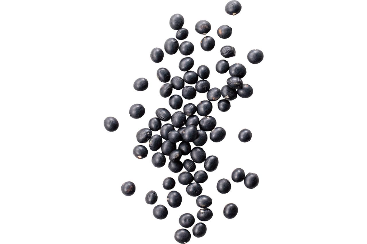 簡単スタート！わんこのための薬膳基礎知識：おすすめ食材と避けたいNG食材リスト（画像8）