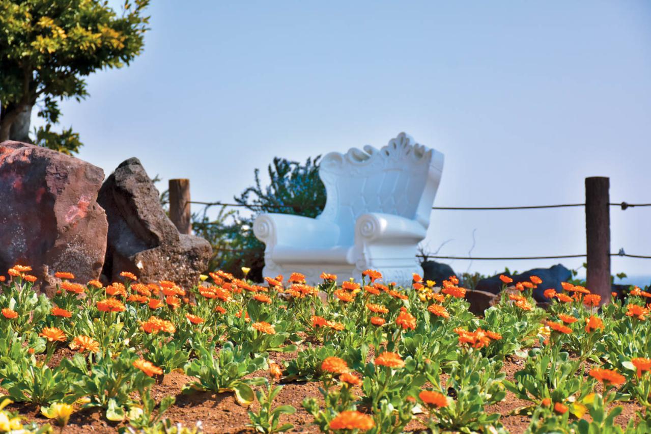 2月から見頃がスタート！ 5月下旬まで花が次々と咲く【伊豆の花の絶景】2選（画像6）