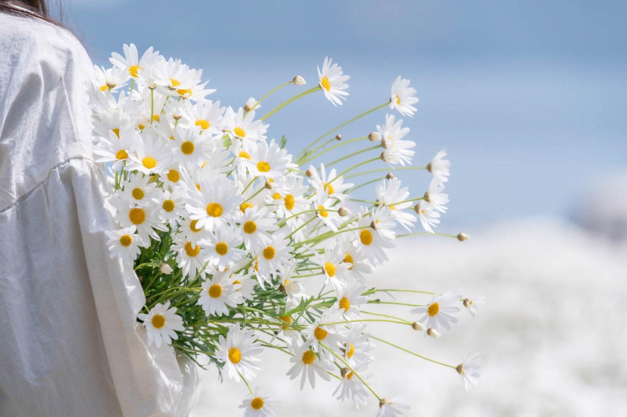 海と春から夏まで咲き誇る花々のコラボが楽しい【海辺の花の絶景】2選（画像3）