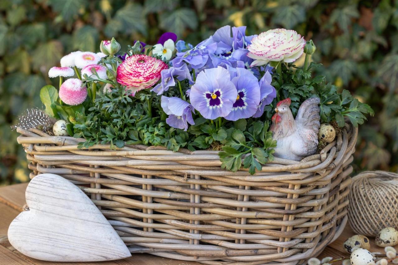 寒さに強い草花［5選］で作る冬の寄せ植え！初心者でも簡単、見栄えの秘訣とは【ガーデニング】（画像11）