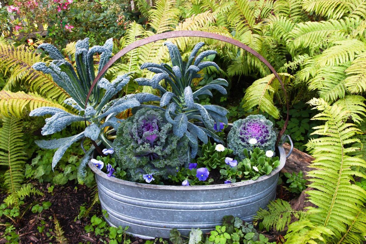 寒さに強い草花［5選］で作る冬の寄せ植え！初心者でも簡単、見栄えの秘訣とは【ガーデニング】（画像13）