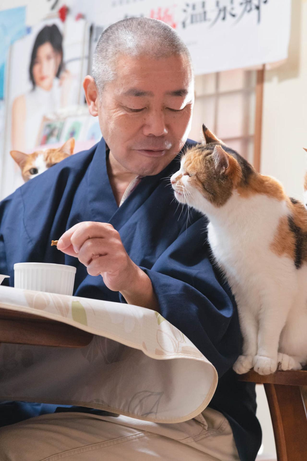 SNSで大人気！ネコ好き必見の「てらねこ」とは？那須の長楽寺8匹の日常の動画が話題（画像11）