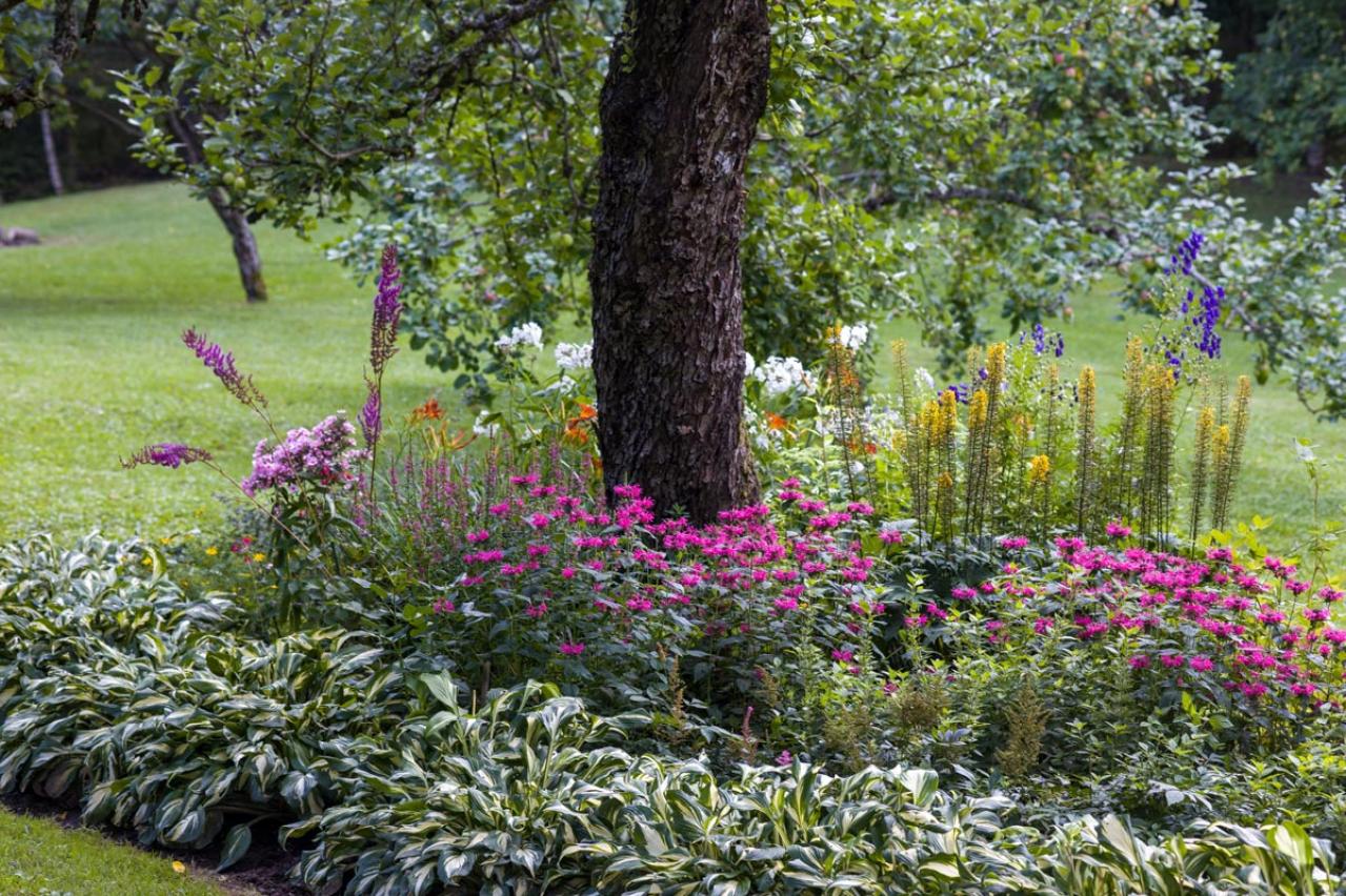 日陰でもガーデニングを諦めない！植物を育てる大事な【日照条件】早わかりガイド（画像4）