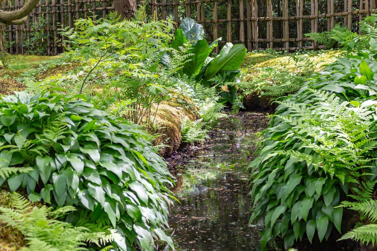日陰でもガーデニングを諦めない！植物を育てる大事な【日照条件】早わかりガイド（画像3）