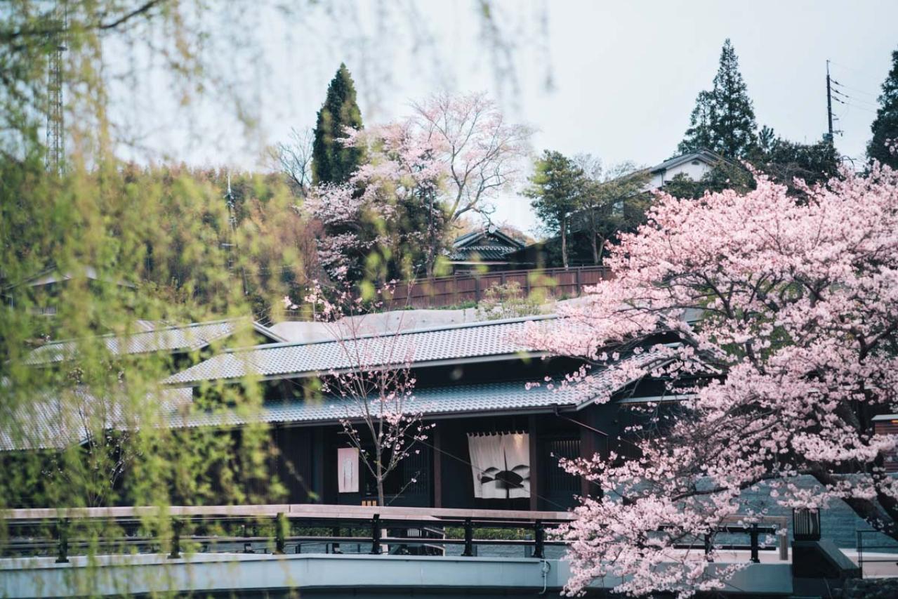 伊豆の三大美味と、源泉かけ流しの湯を堪能！ 心弾む、星野リゾート【界 伊東】の楽しみ方とは？（画像18）