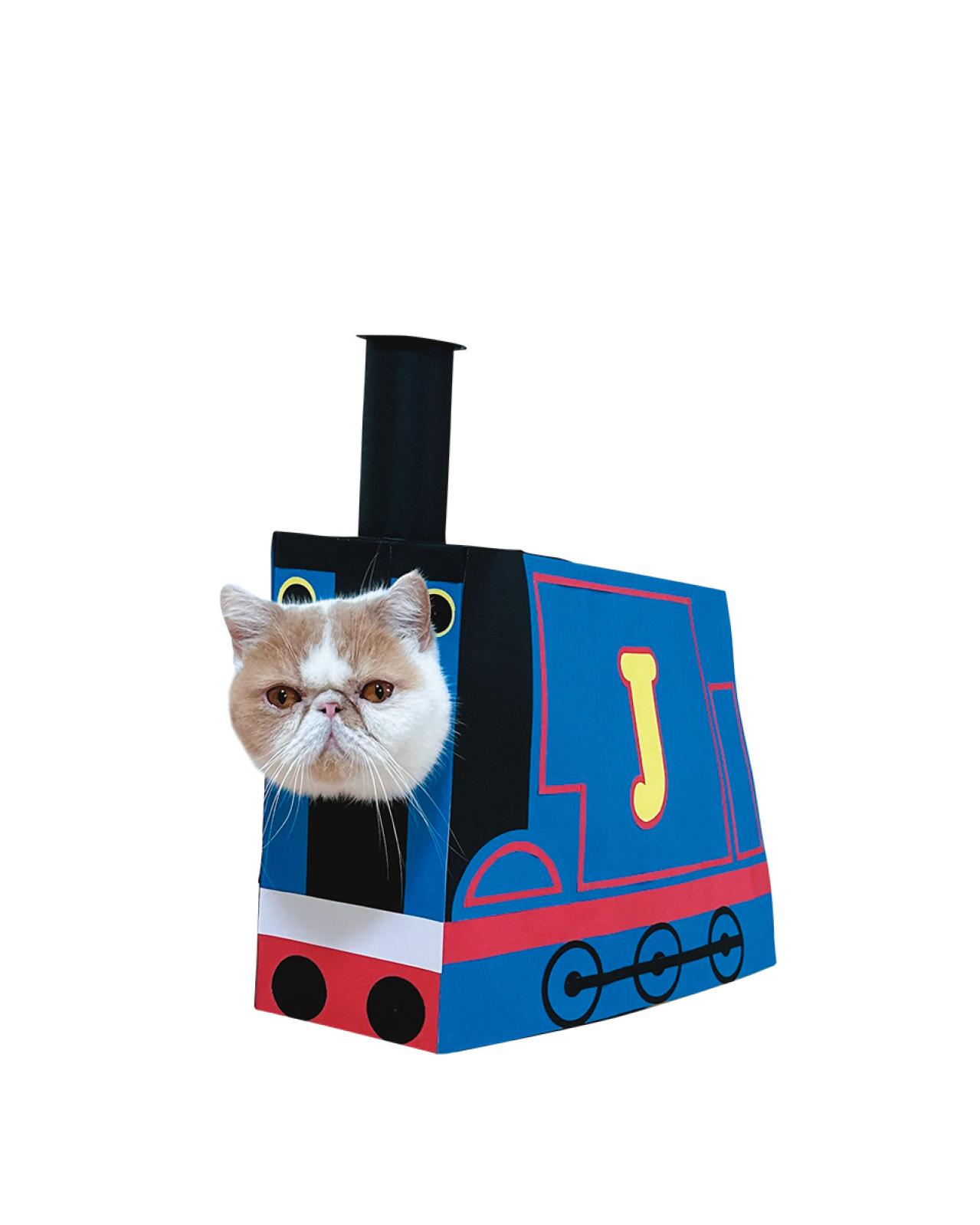 SNSで人気沸騰！紙袋を着るクセ強め猫「じんぱち」がかわいすぎる（画像3）