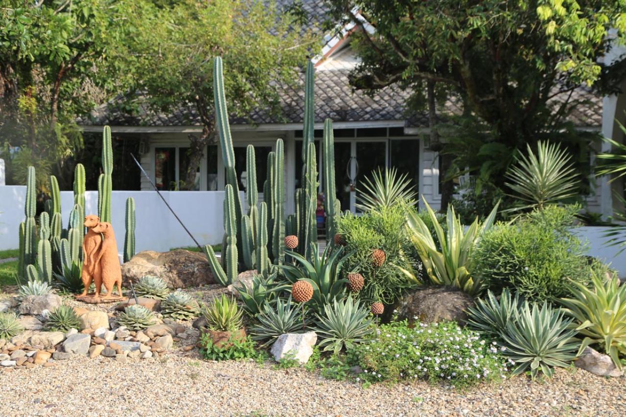 日陰でもガーデニングを諦めない！植物を育てる大事な【日照条件】早わかりガイド（画像2）