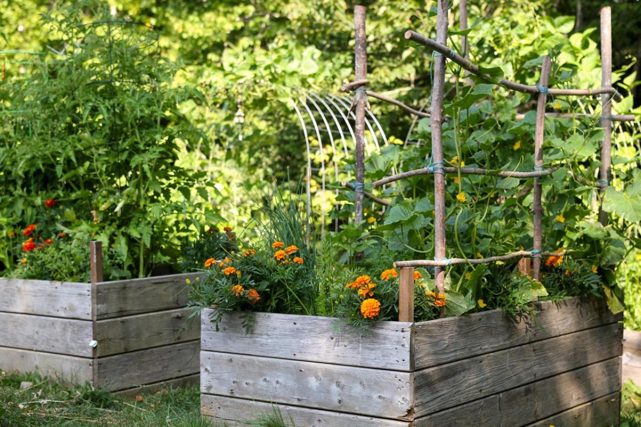 日陰でもガーデニングを諦めない！植物を育てる大事な【日照条件】早わかりガイド（画像7）