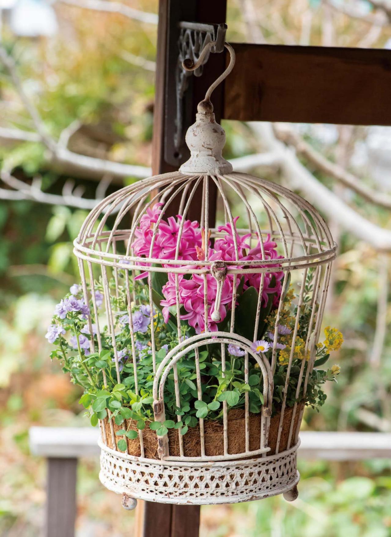 吊るして飾ると魅力的！【ヒヤシンスの寄せ植え】室内でも楽しめる水耕栽培のやり方も紹介（画像3）