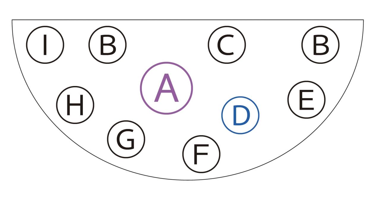 吊るして飾ると魅力的！【ヒヤシンスの寄せ植え】室内でも楽しめる水耕栽培のやり方も紹介（画像7）