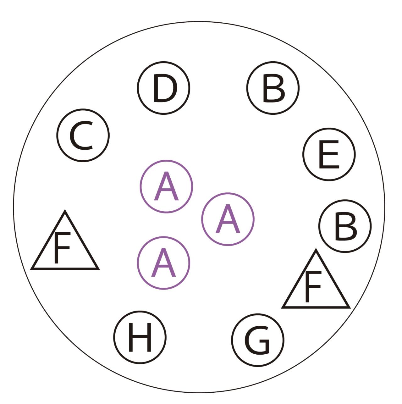 吊るして飾ると魅力的！【ヒヤシンスの寄せ植え】室内でも楽しめる水耕栽培のやり方も紹介（画像4）