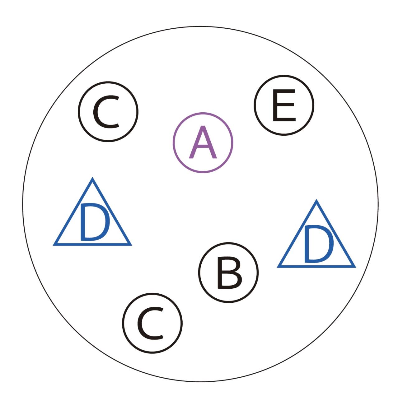 植物の姿の変化が楽しい【ヒヤシンスの寄せ植え】人気のバスケット＆コンテナでおしゃれに！（画像7）