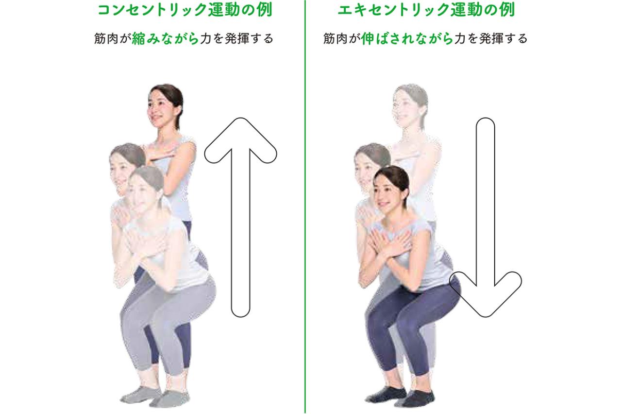 膝や股関節に不安のある人こそオススメ「3秒筋トレ」。驚きのメカニズムと初心者向け実践方法（画像3）