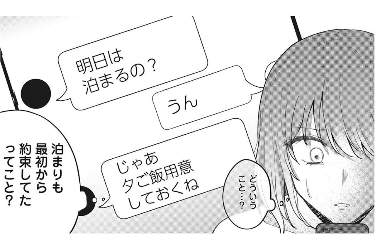 まさか！仮面の下に隠された友の素顔。サレ妻姫奈に勝ち目はない？【いつわりの夫婦 略奪した私がサレ妻になる #5】