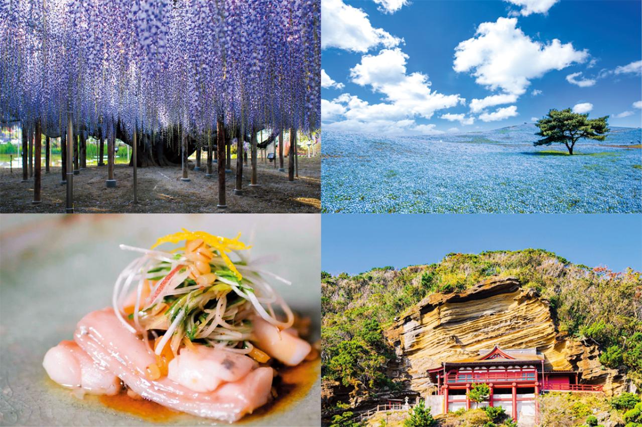 ゆったり【大人の日帰りひとり旅】「クラブツーリズム×ゆうゆうコラボ企画」参加者募集！