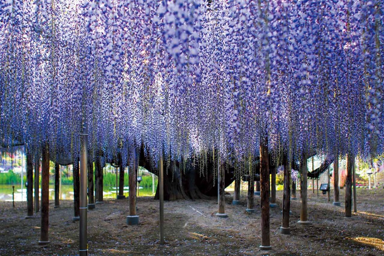 ゆったり【大人の日帰りひとり旅】「クラブツーリズム×ゆうゆうコラボ企画」参加者募集！（画像4）