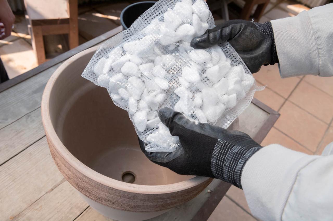 初心者でも簡単に育てられる！鉢植えで楽しむ【ミモザ】植えつけプロセスを公開（画像9）