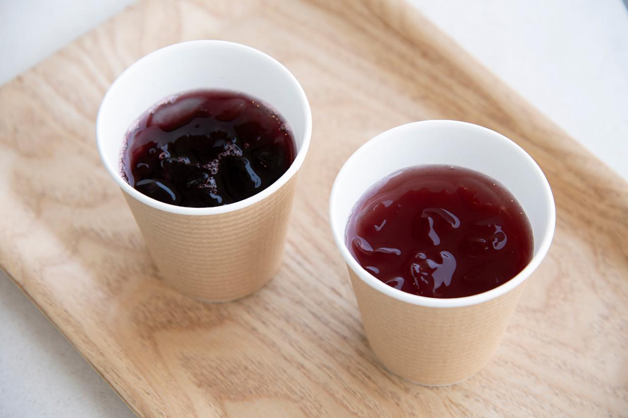 加藤茶さん＆綾菜さん夫妻も登壇！【イベント報告】2月28日・3月1日「ご自愛市 SPRING 2026」を開催‼（画像62）