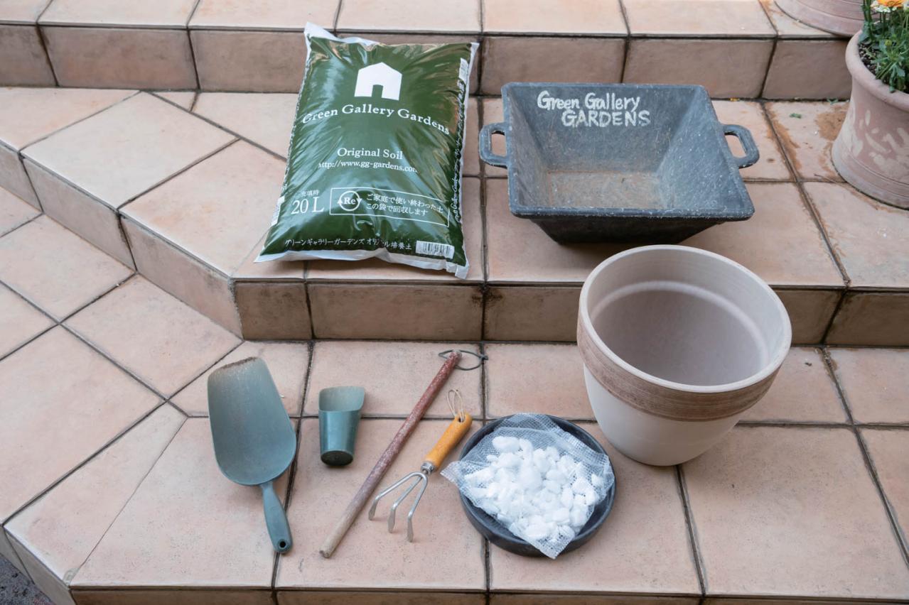 初心者でも簡単に育てられる！鉢植えで楽しむ【ミモザ】植えつけプロセスを公開（画像7）