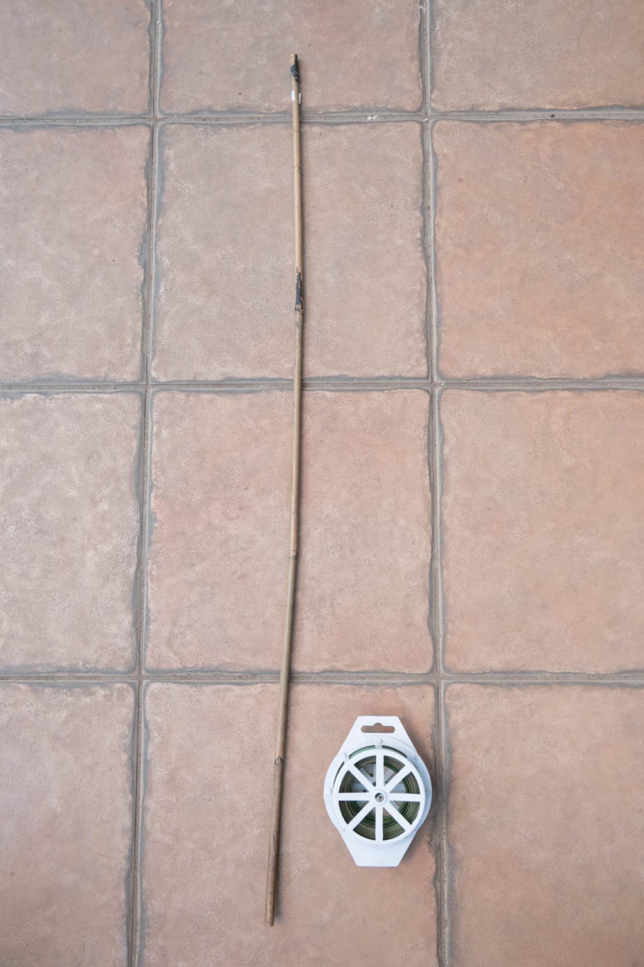 翌年も美しく花を咲かせたい！【ミモザの鉢植え】管理のポイントは？（画像5）