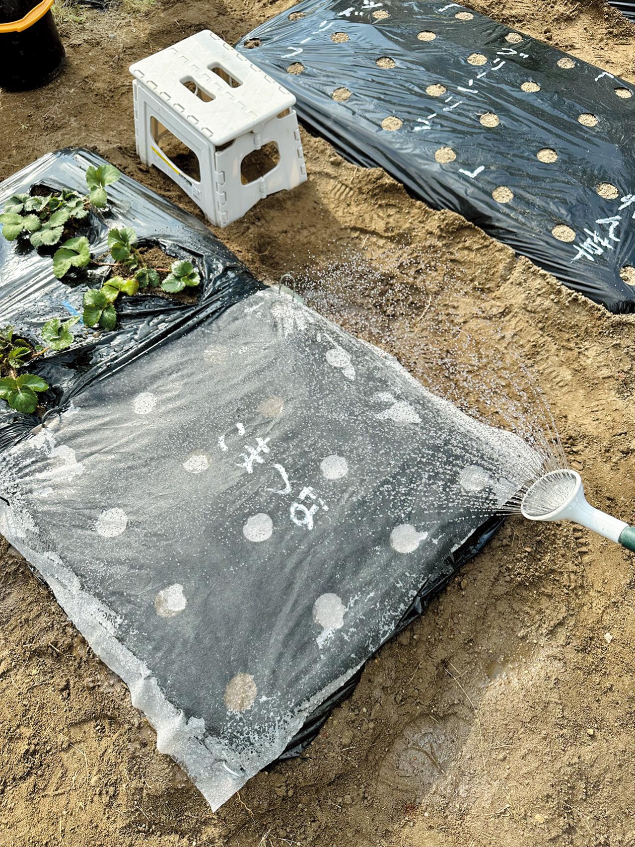 60代ブロガー「人生を変えたい」と思ったら、クローゼット整理。20代から続けてきた、お財布にもやさしい整理のコツ（画像4）