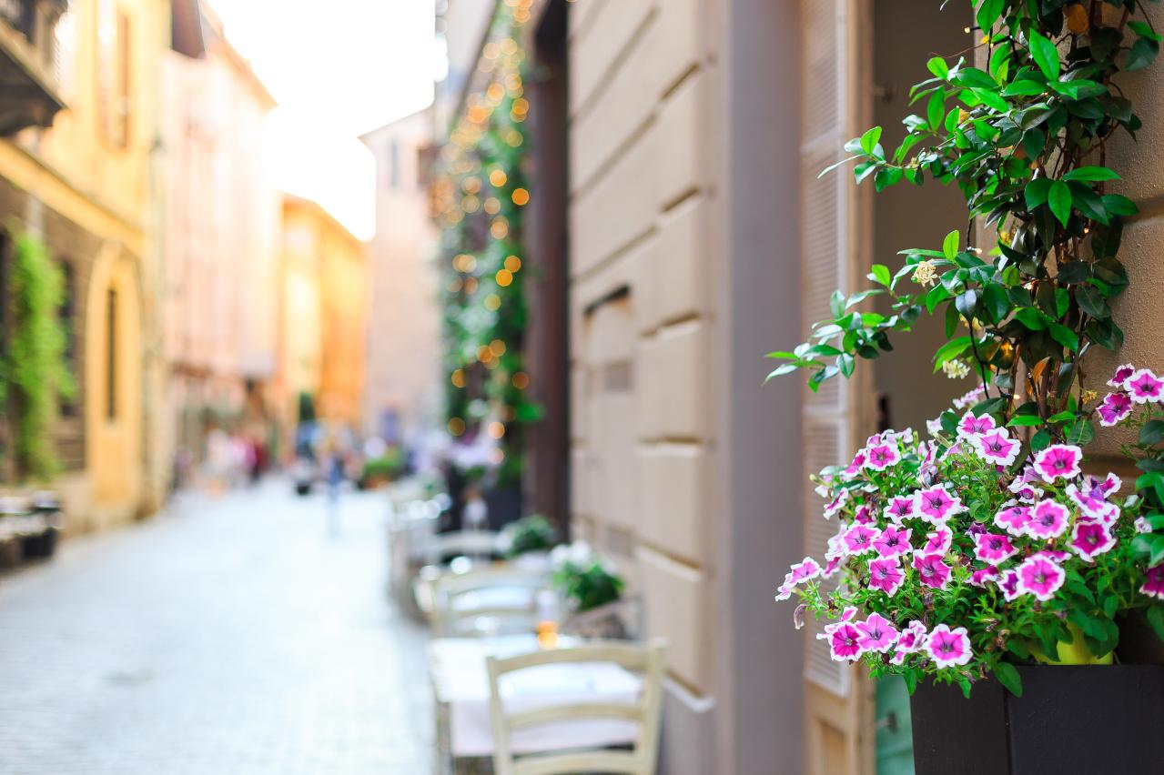 ヤマザキマリさん「イタリア人は匿名のSNSが苦手」文句を言いたいなら対面が一番！（画像2）