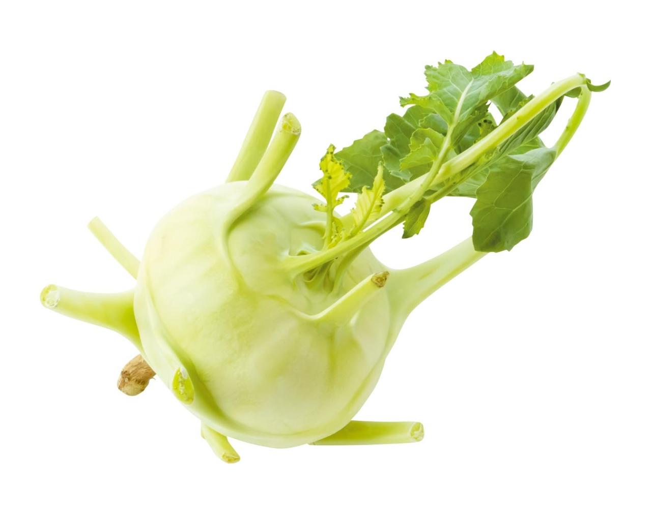 鉢で簡単に育てられる！春まき野菜【ラディッシュ＆コールラビ】の栽培のコツ（画像10）