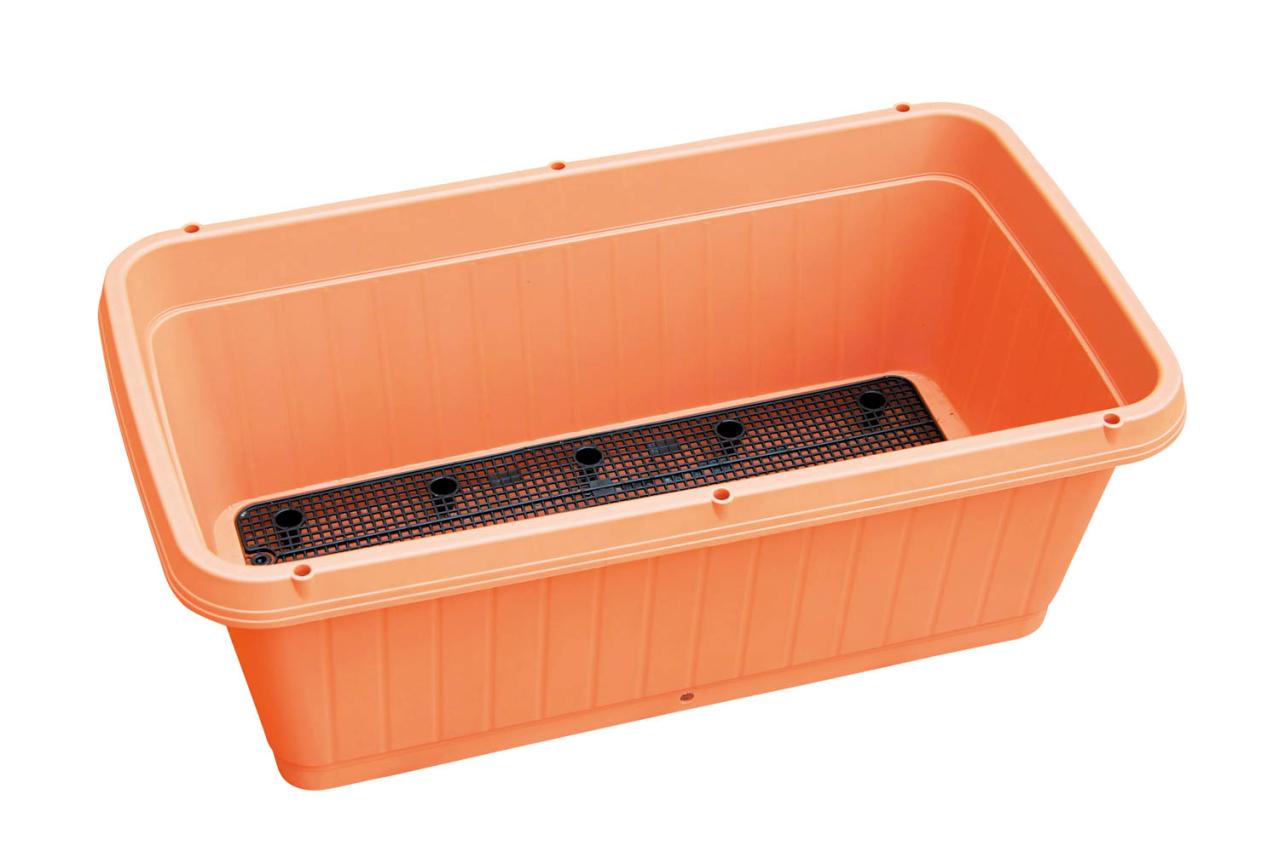 初めての【野菜＆ハーブ育て】用意すべき基本アイテムは？ ルッコラ栽培のポイントも紹介（画像4）