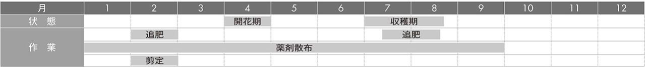 【ガーデニングQ&A】サクランボの剪定時期、方法を詳しく教えて！　（画像4）