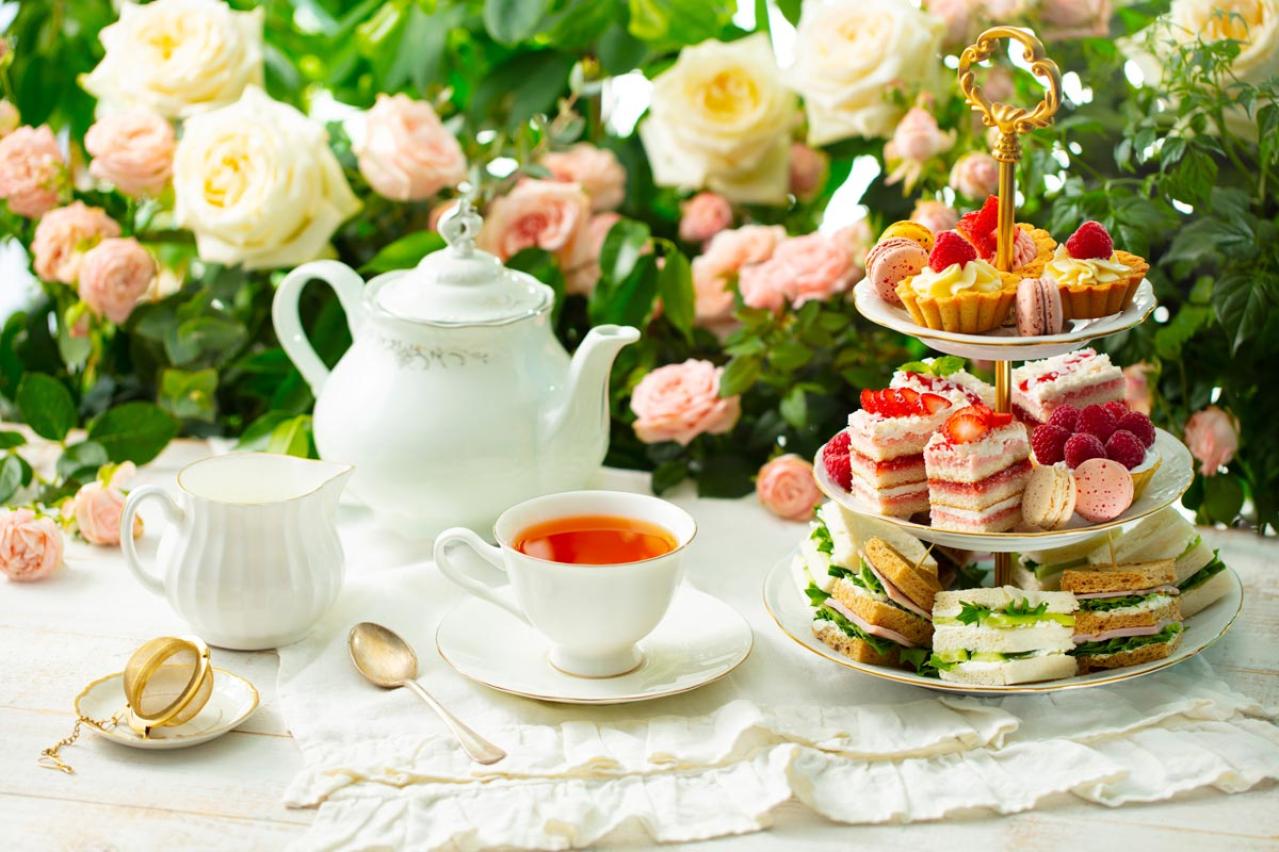 【3月のバラ管理】新芽がカギ！？差がつく芽かき3ポイントと遅霜対策