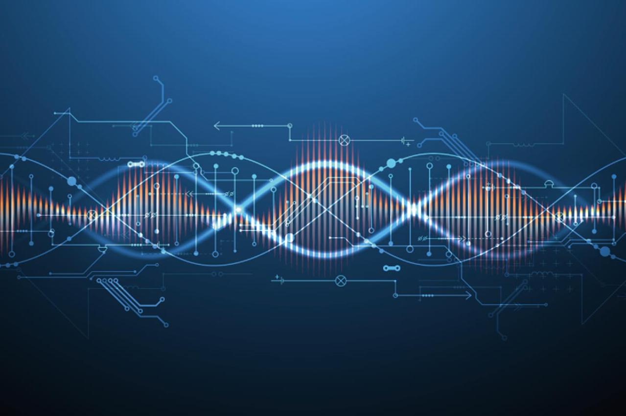 実話ミステリー級：犯人を特定したのは“DNA”だった——その最初の事件（画像2）