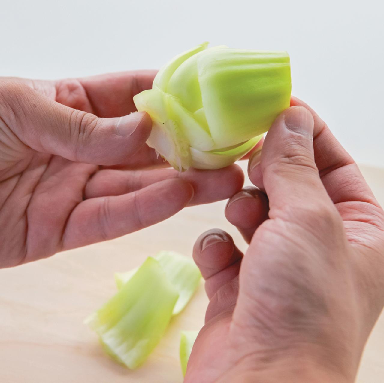 地球にも家計にもやさしい【チンゲンサイのリボベジ】3カ月半後に収穫できる！（画像6）