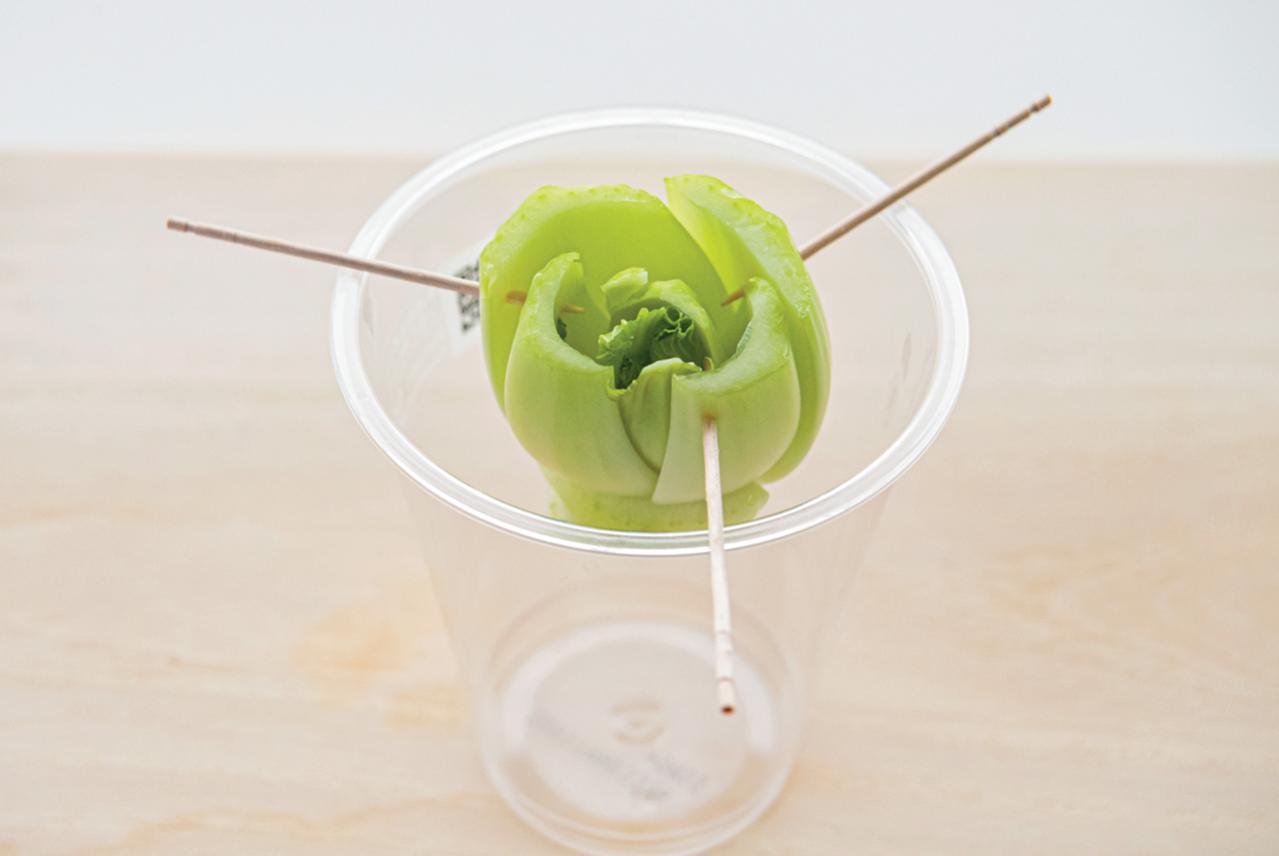 地球にも家計にもやさしい【チンゲンサイのリボベジ】3カ月半後に収穫できる！（画像10）