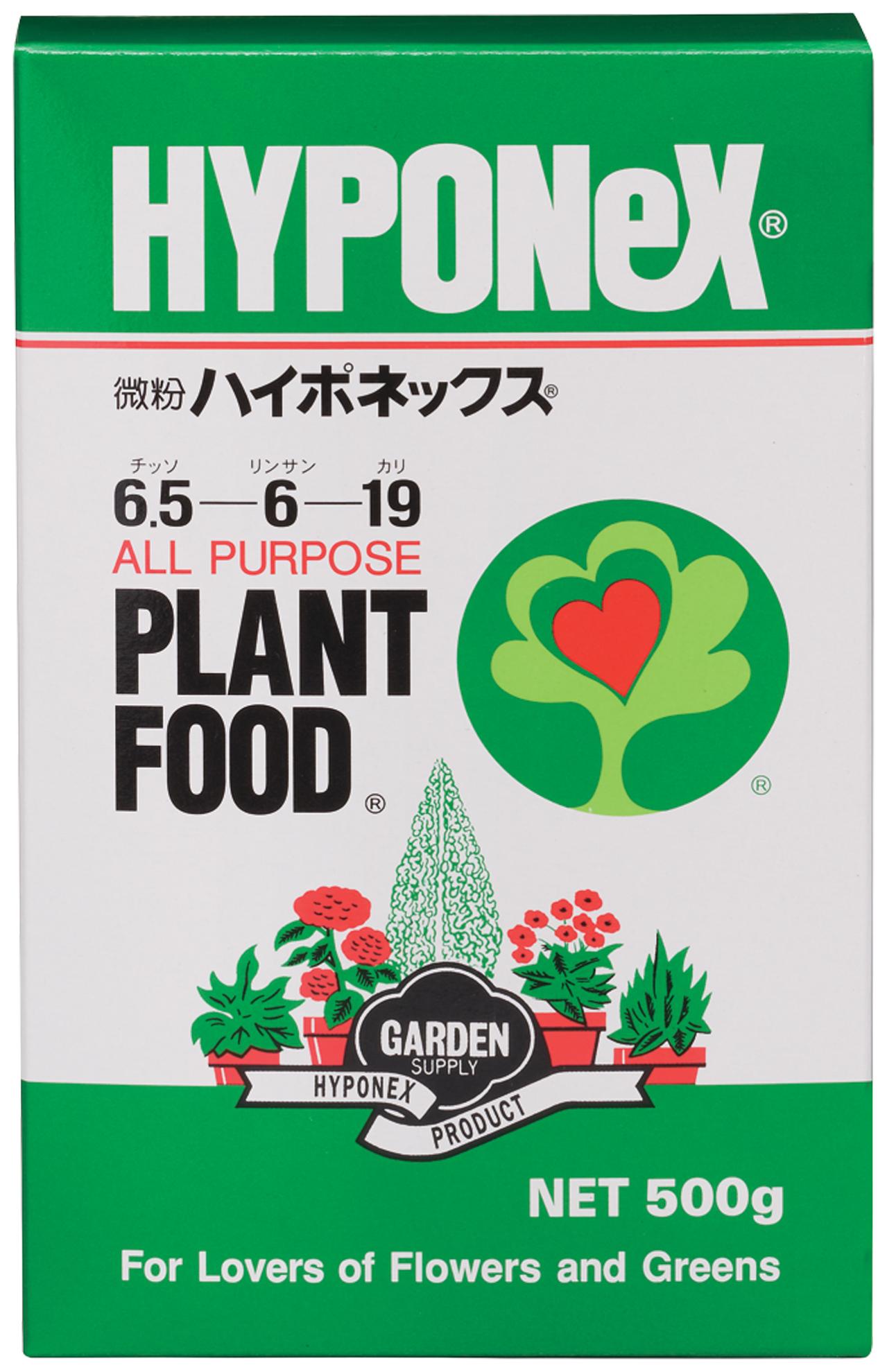 捨ててしまう野菜の根、ヘタを再利用！【リボベジ】の始め方。失敗しないコツは？（画像13）