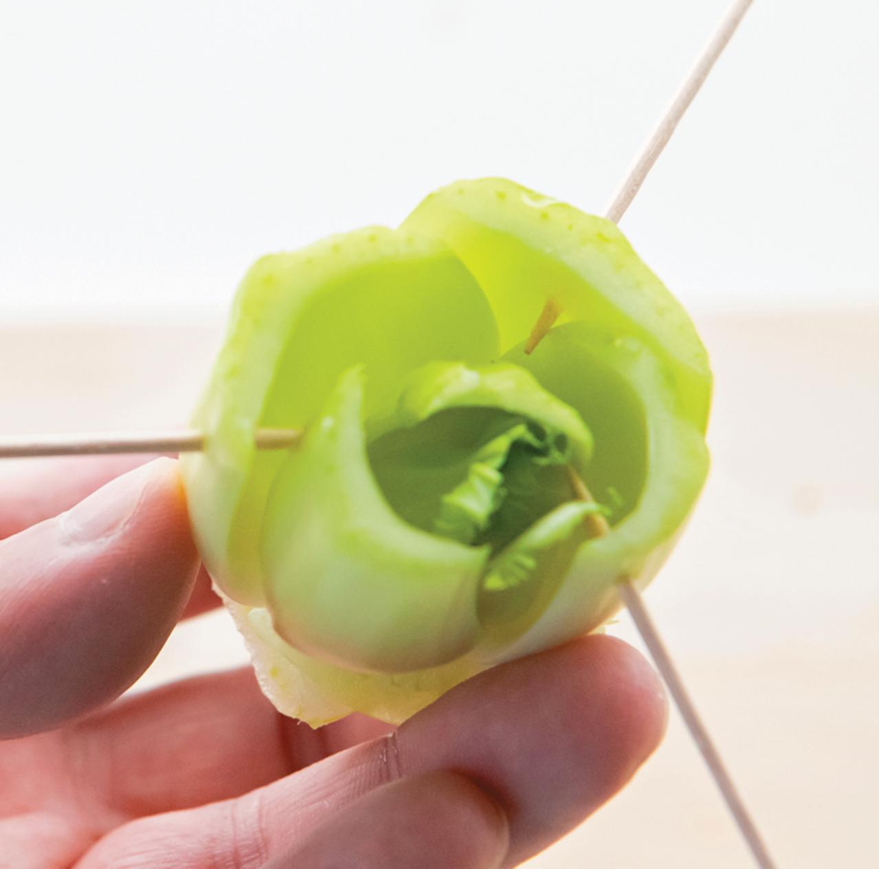 地球にも家計にもやさしい【チンゲンサイのリボベジ】3カ月半後に収穫できる！（画像9）