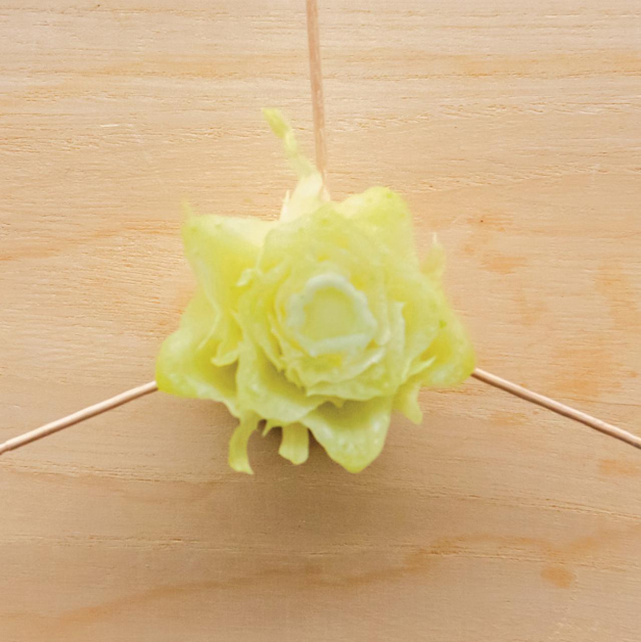 キッチンで簡単に育つ【リボベジ】リーフレタス、ニンジン、ダイコンの栽培方法は？（画像9）