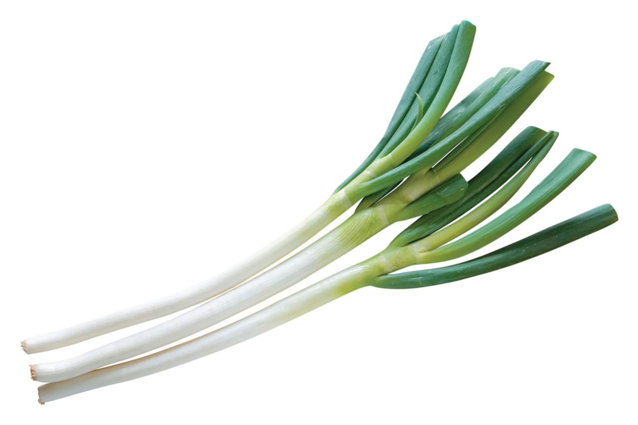 野菜が育っていく姿を見るのも楽しい【リボベジ】ニンニク、ネギ栽培のポイント（画像10）