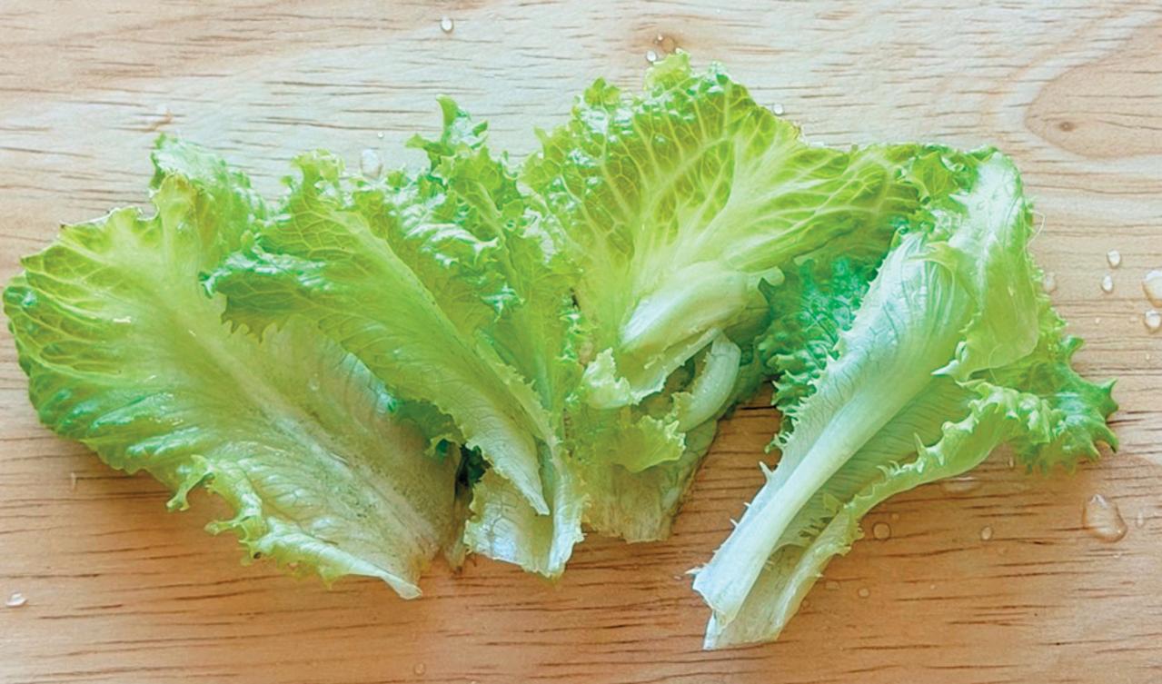 キッチンで簡単に育つ【リボベジ】リーフレタス、ニンジン、ダイコンの栽培方法は？（画像11）