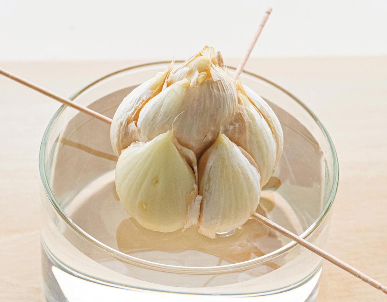 野菜が育っていく姿を見るのも楽しい【リボベジ】ニンニク、ネギ栽培のポイント（画像4）